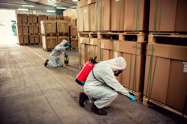 Best Termite Control Services  in Alvord, TX