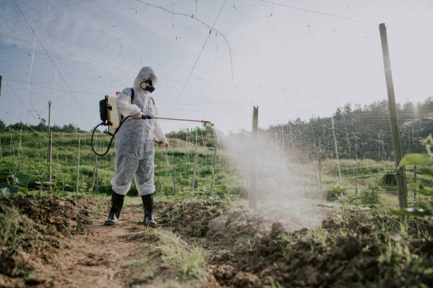 Best Affordable Pest Control Services  in Alvord, TX