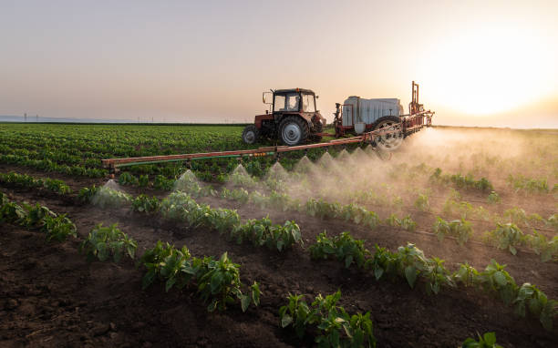 Best Cockroach Control Services  in Alvord, TX