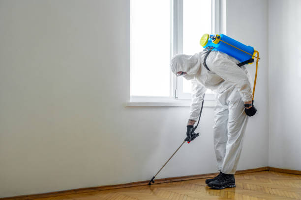 Alvord, TX Pest Control Company