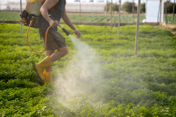 Pest Control Cost in Alvord, TX