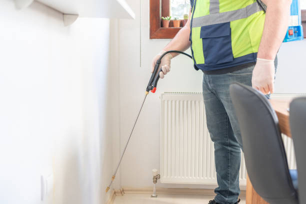 Best Ant Control Services  in Alvord, TX