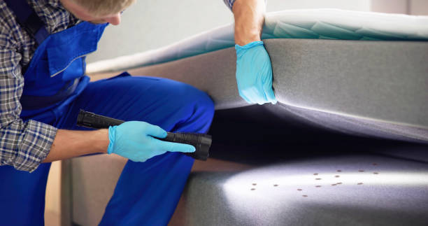 Pest Prevention Services in Alvord, TX